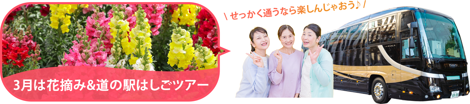 バスツアー毎月開催中