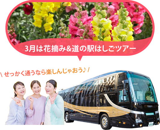 バスツアー毎月開催中