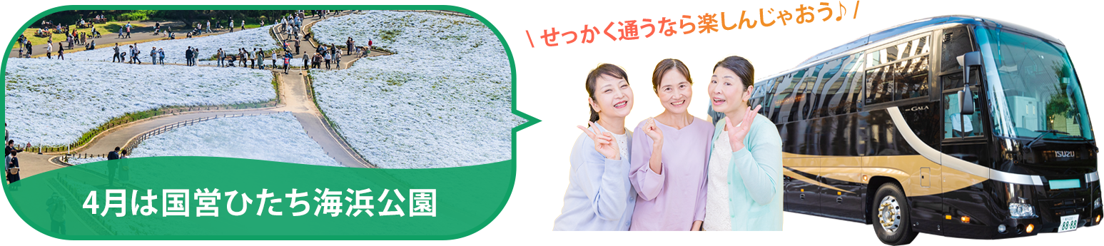 バスツアー毎月開催中