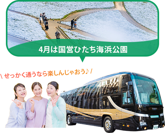 バスツアー毎月開催中