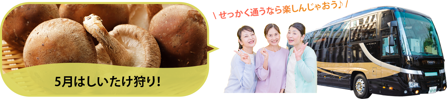 バスツアー毎月開催中
