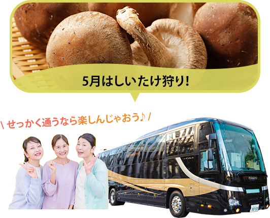 バスツアー毎月開催中
