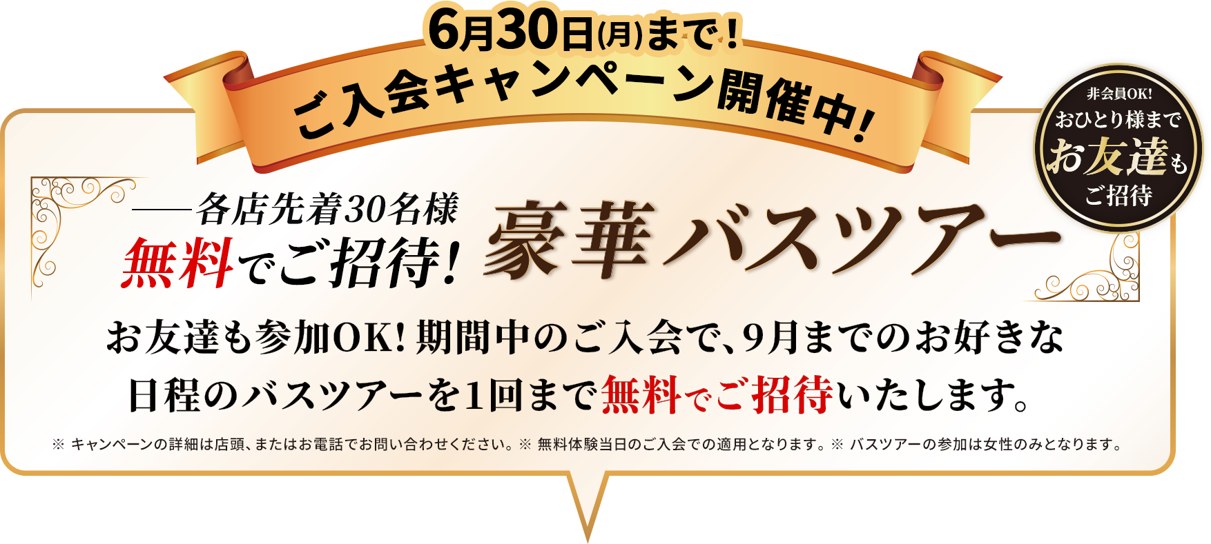 今ならお得にスタートできます！