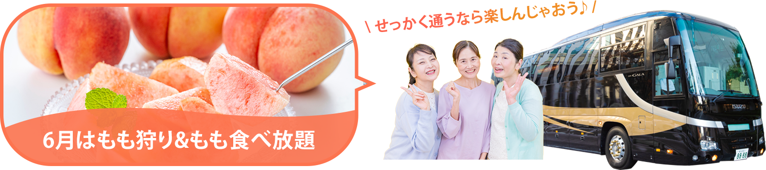 バスツアー毎月開催中