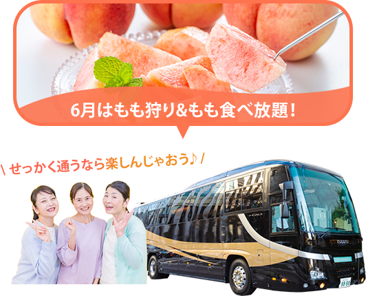 バスツアー毎月開催中
