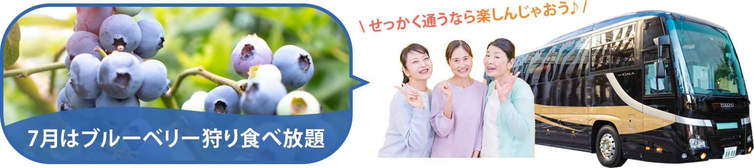 バスツアー毎月開催中