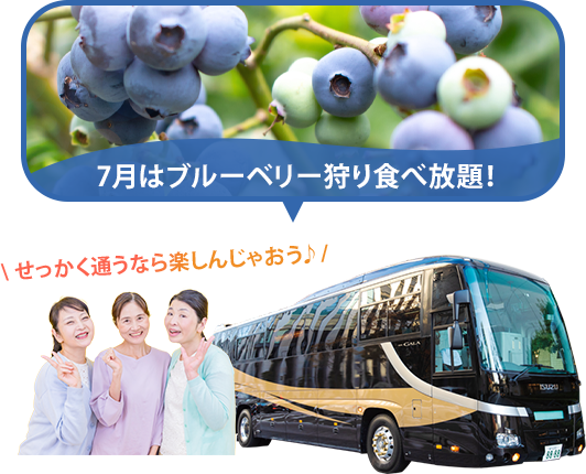 バスツアー毎月開催中