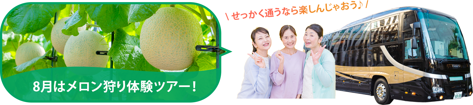 バスツアー毎月開催中