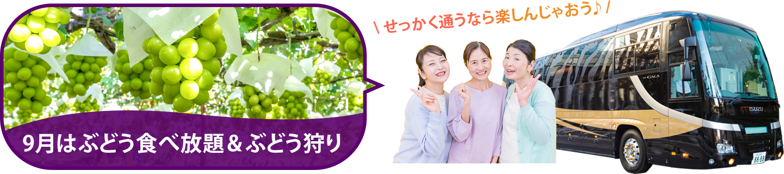バスツアー毎月開催中