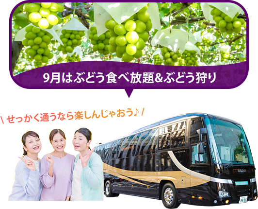 バスツアー毎月開催中