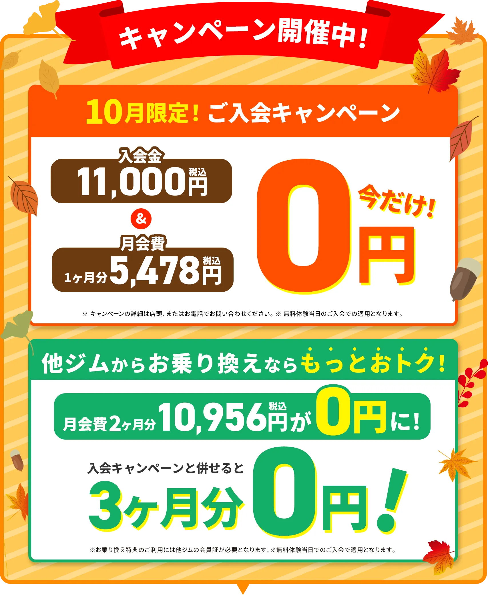 今ならお得にスタートできます！
