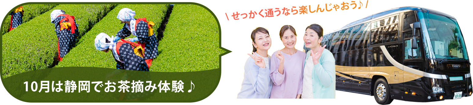バスツアー毎月開催中