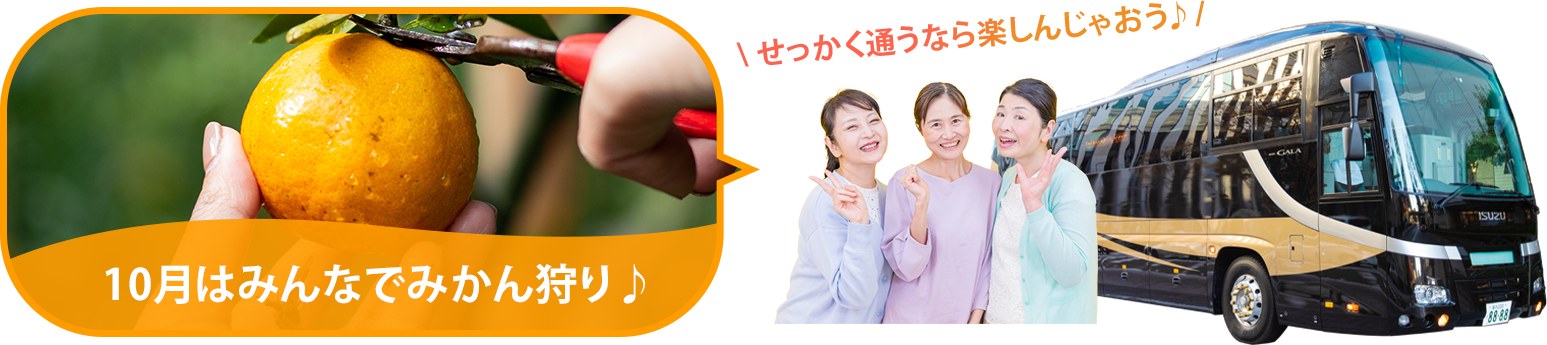 バスツアー毎月開催中