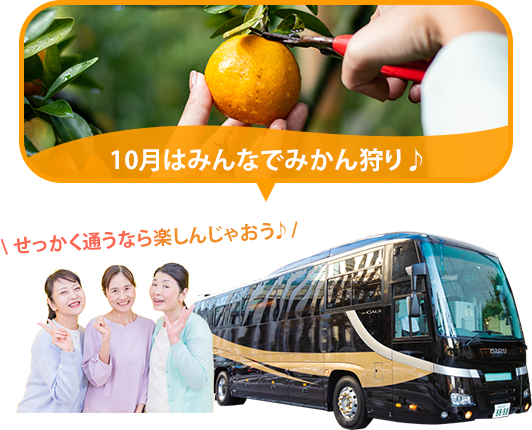 バスツアー毎月開催中