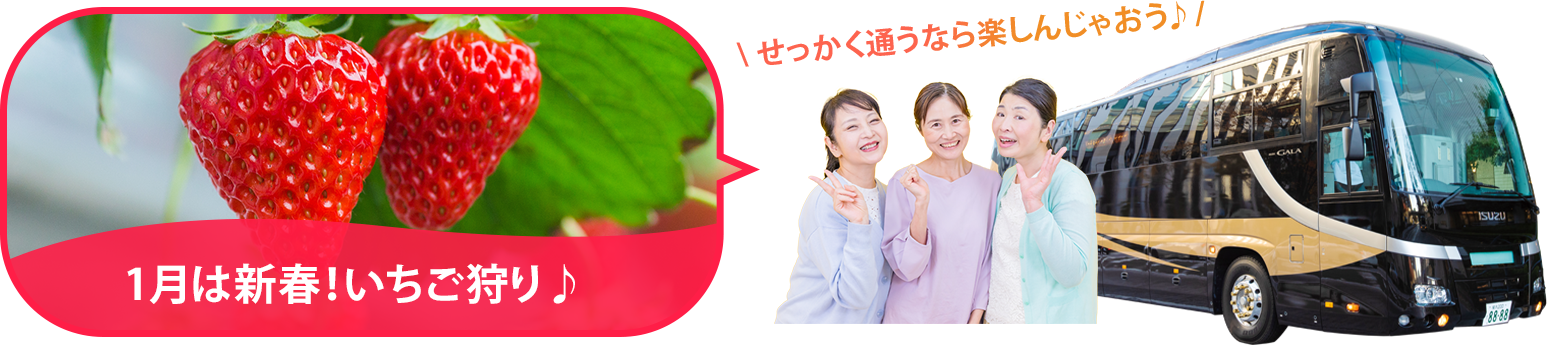 バスツアー毎月開催中