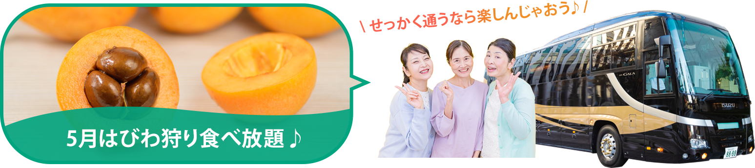 バスツアー毎月開催中