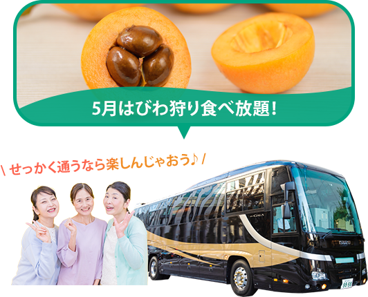バスツアー毎月開催中