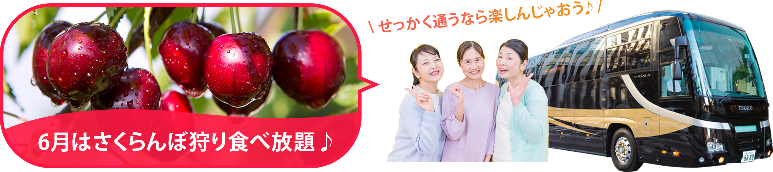 バスツアー毎月開催中