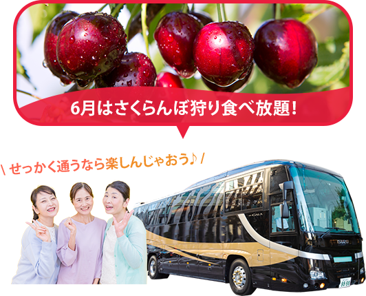 バスツアー毎月開催中