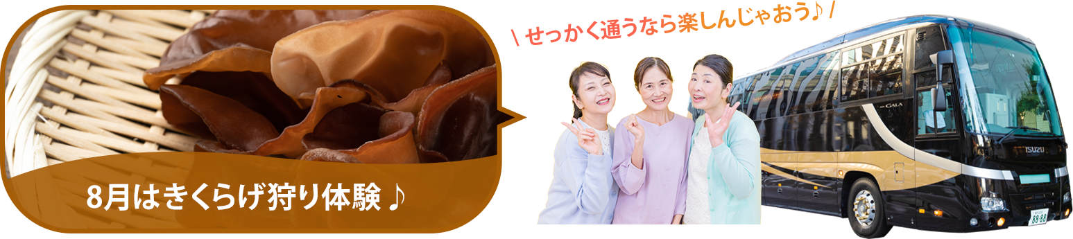 バスツアー毎月開催中
