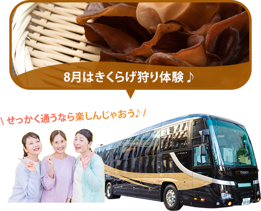 バスツアー毎月開催中