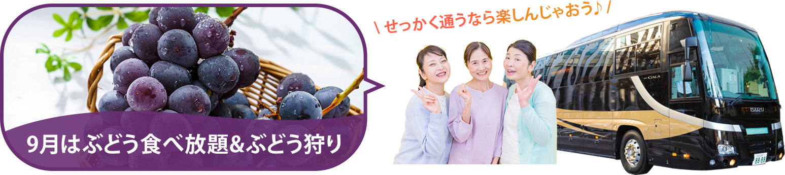 バスツアー毎月開催中