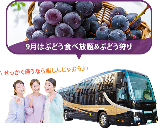 バスツアー毎月開催中