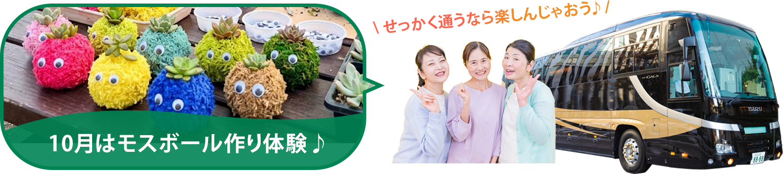 バスツアー毎月開催中