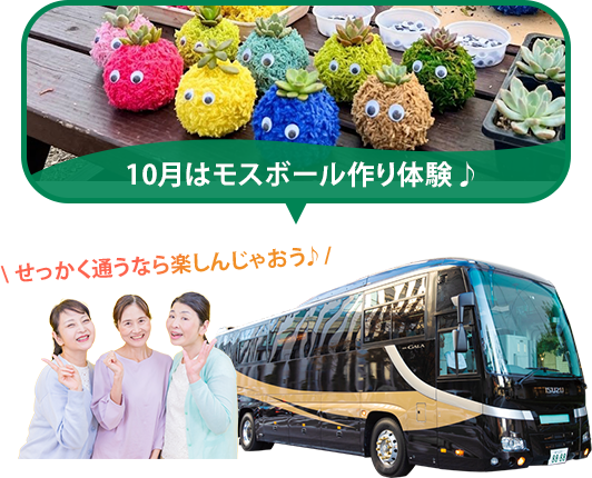 バスツアー毎月開催中
