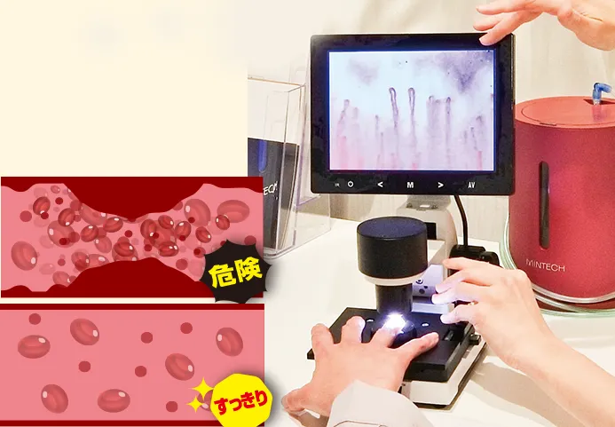 体内数値測定